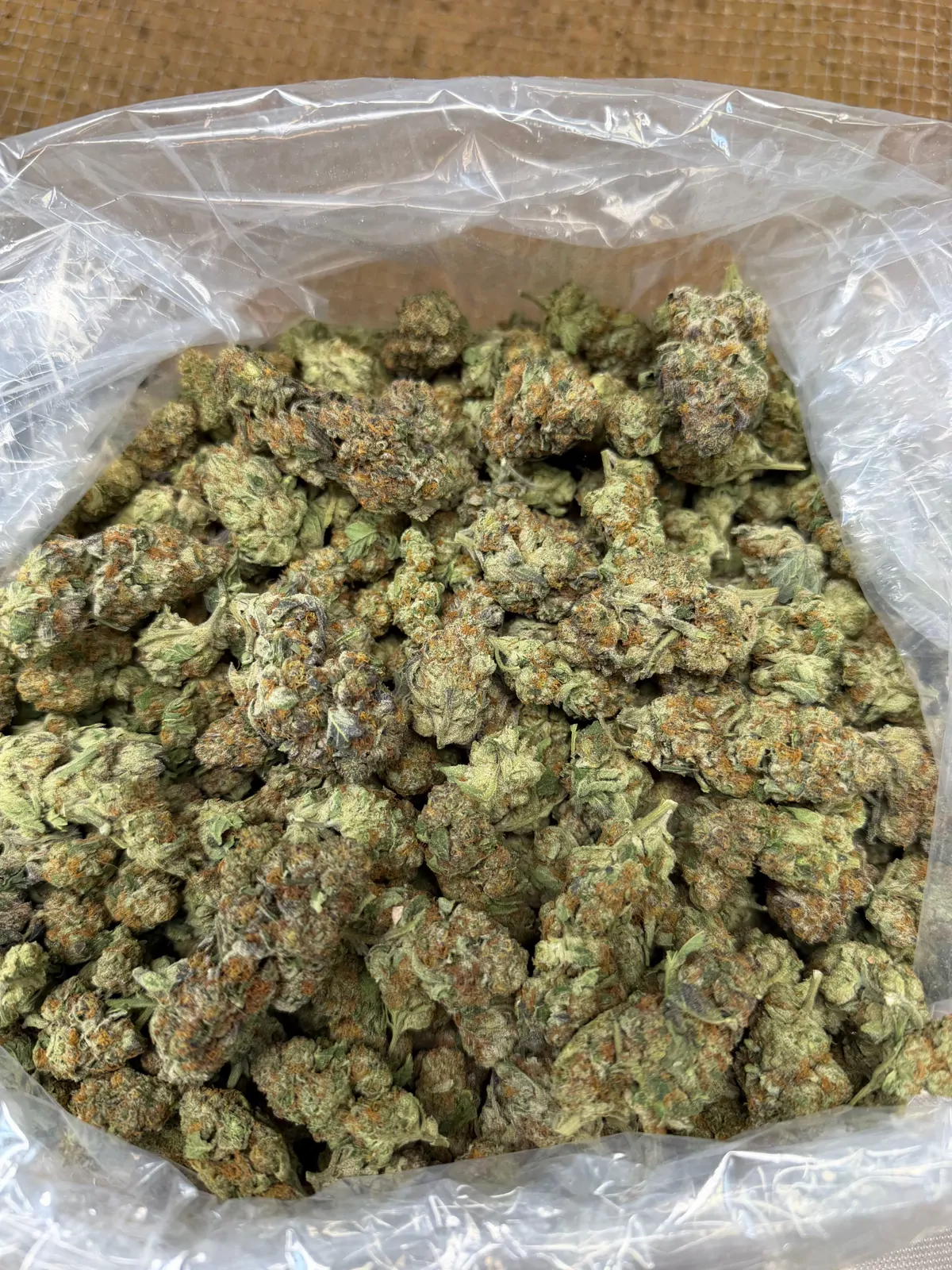 Garlic Breath Flower